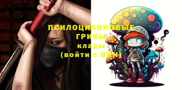 бошки Балахна