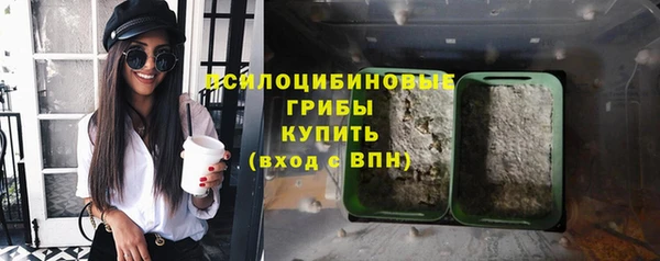 бошки Балахна