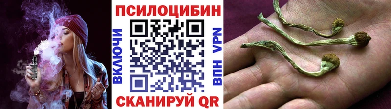 Галлюциногенные грибы ЛСД  мега онион  дарк нет состав  Южа 